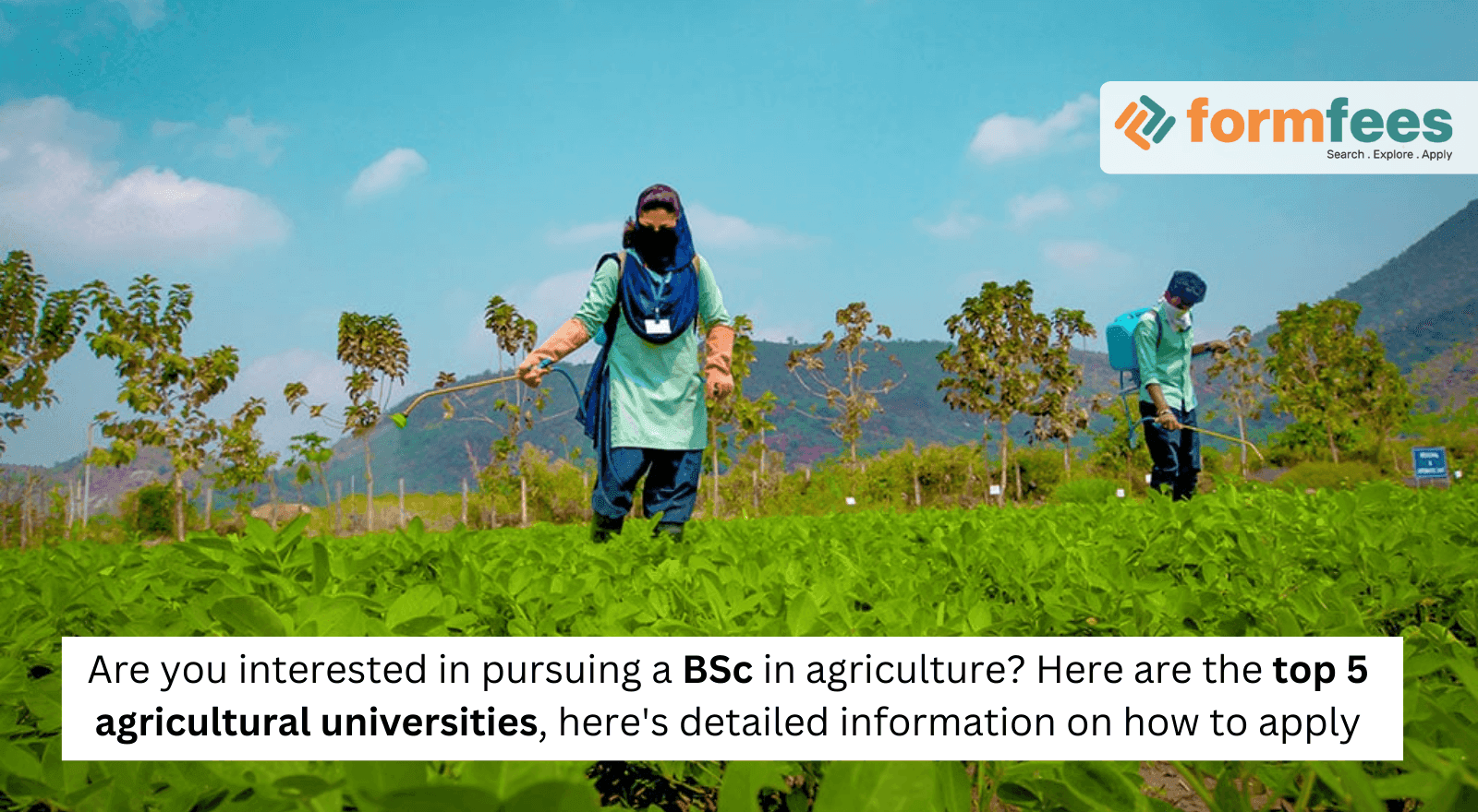 Are You Interested In Pursuing A BSc In Agriculture? Here Are The Top 5 ...