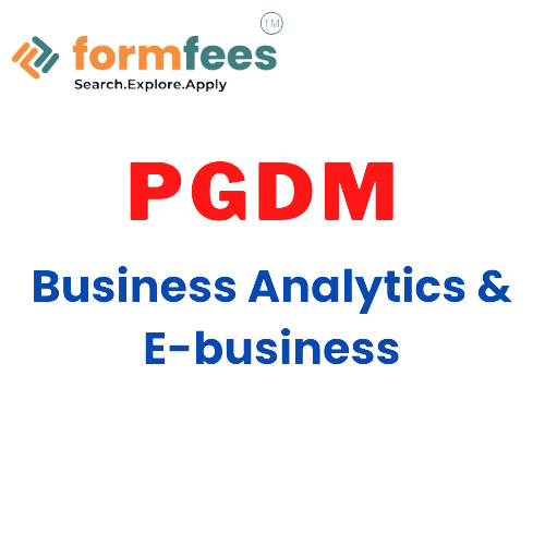 PGDM Business Analytics & E-business
